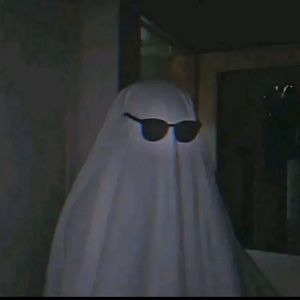 Meet your Posher, Amy. sofia.